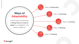 Adaptability & Resilience